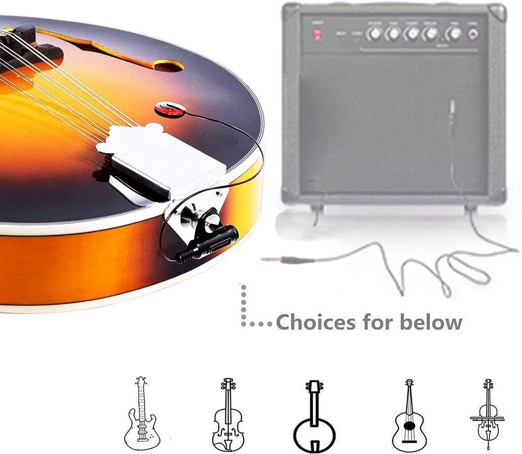 Wood A Style Mandolin Instrument Kit with Bag B345373