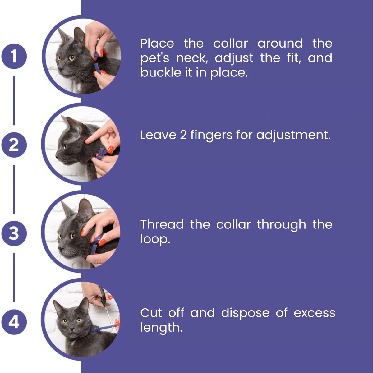 Cat Calming Collar 2-Pack T5968