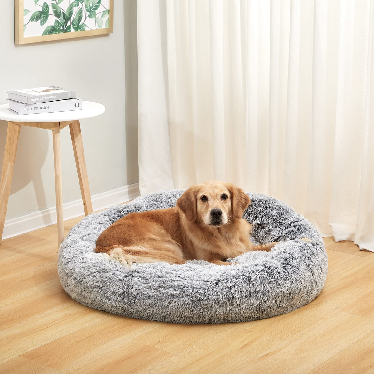 Dark Grey 36" Round Dog Bed U522934