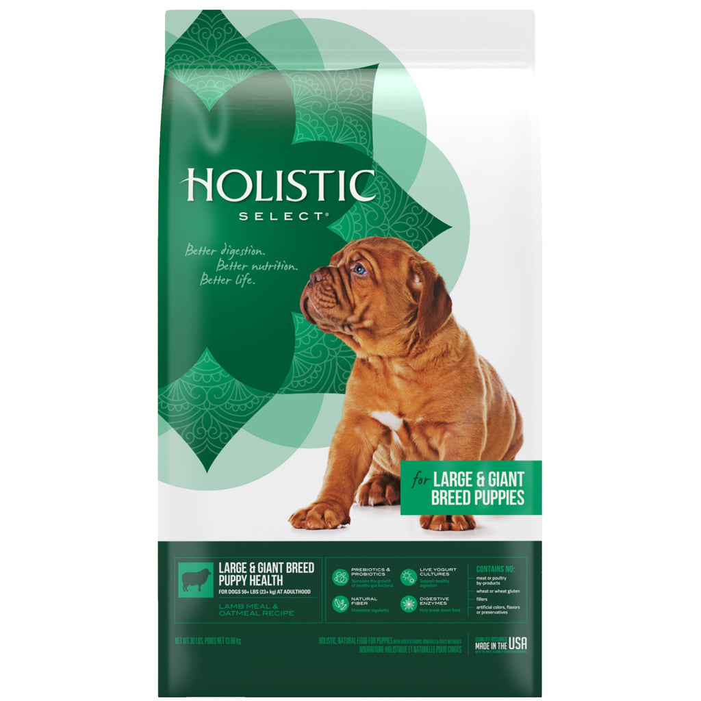 Natural Dry Dog Food Large Breed Puppy 30-Pound Bag M9127