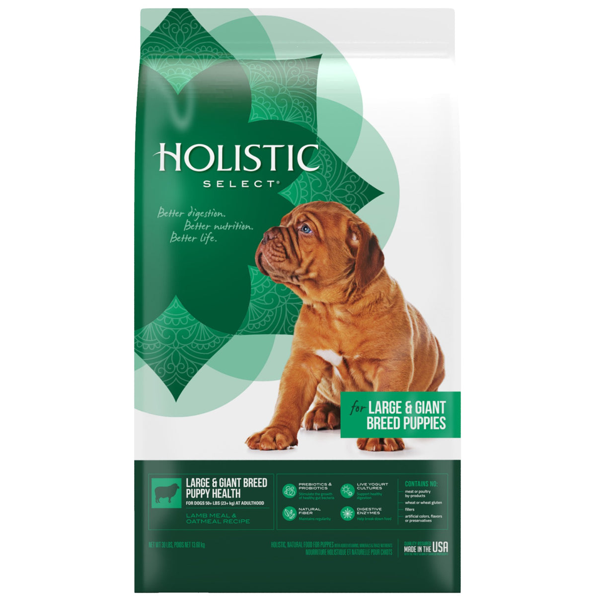 Natural Dry Dog Food Large Breed Puppy 30-Pound Bag M9127