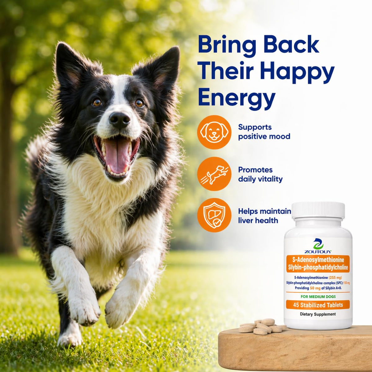 Silybin Tablets for Dogs V908892