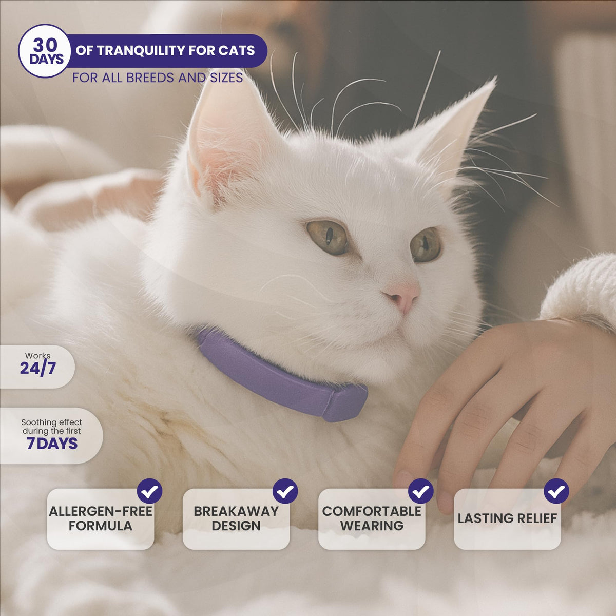 Cat Calming Collar 2-Pack T5968