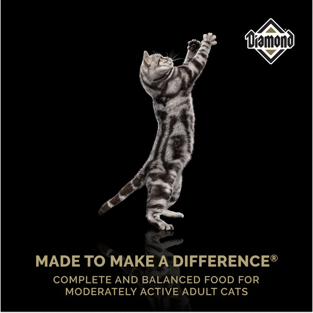 Adult Dry Cat Food Chicken Protein 40lb Z383613