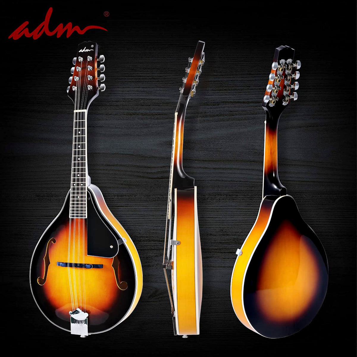 Wood A Style Mandolin Instrument Kit with Bag B345373