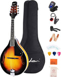 Wood A Style Mandolin Instrument Kit with Bag B345373