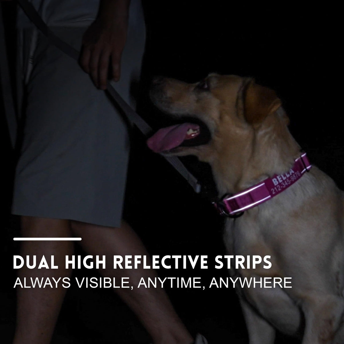 Tactical Dog Collar with Handle S9262