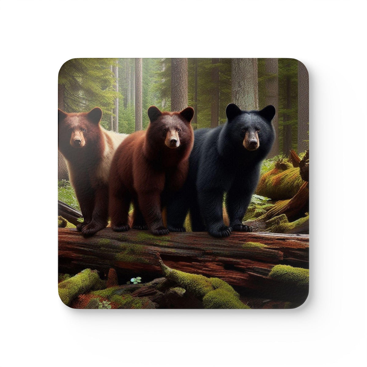 Black Bear Coasters Set of 4 C468