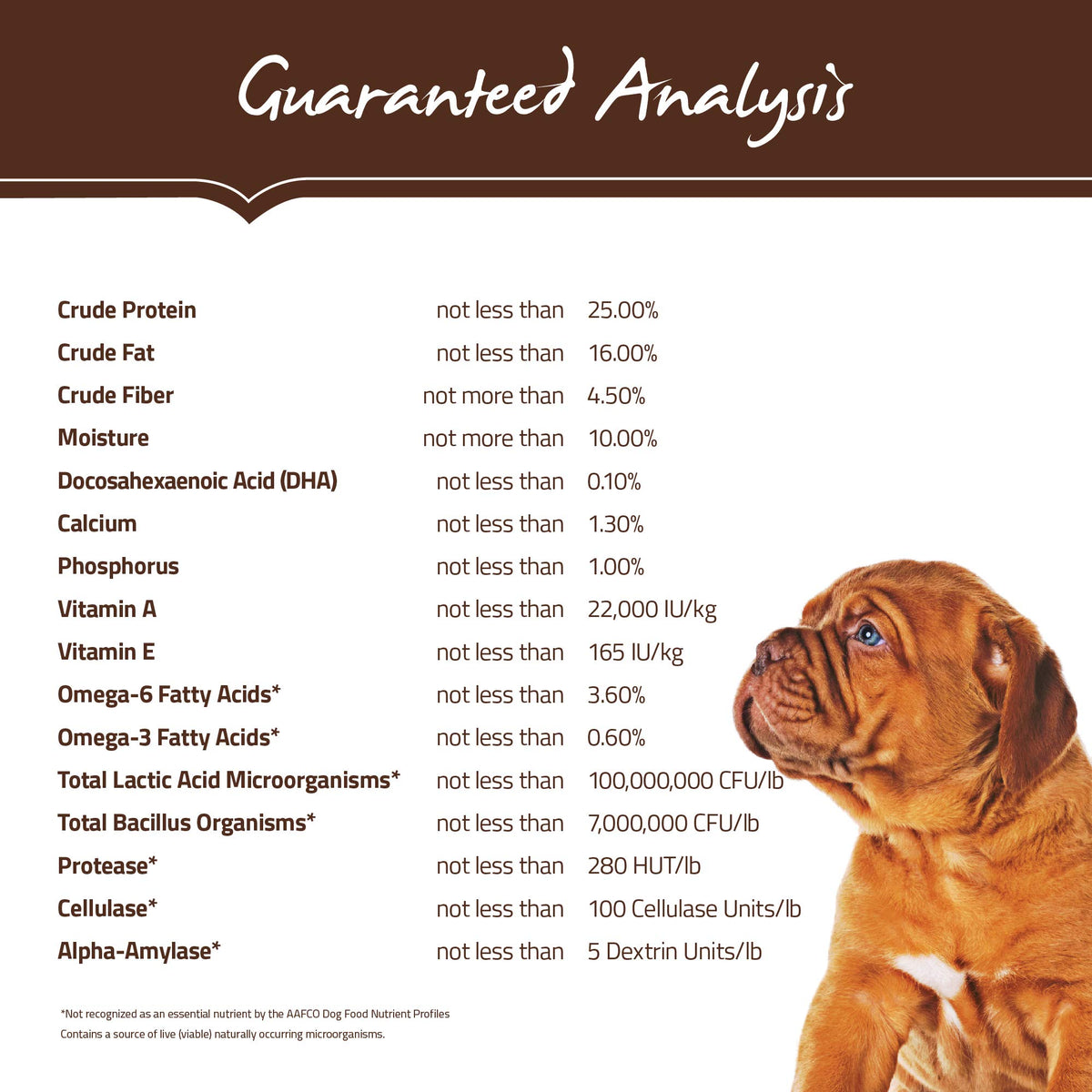 Natural Dry Dog Food Large Breed Puppy 30-Pound Bag M9127