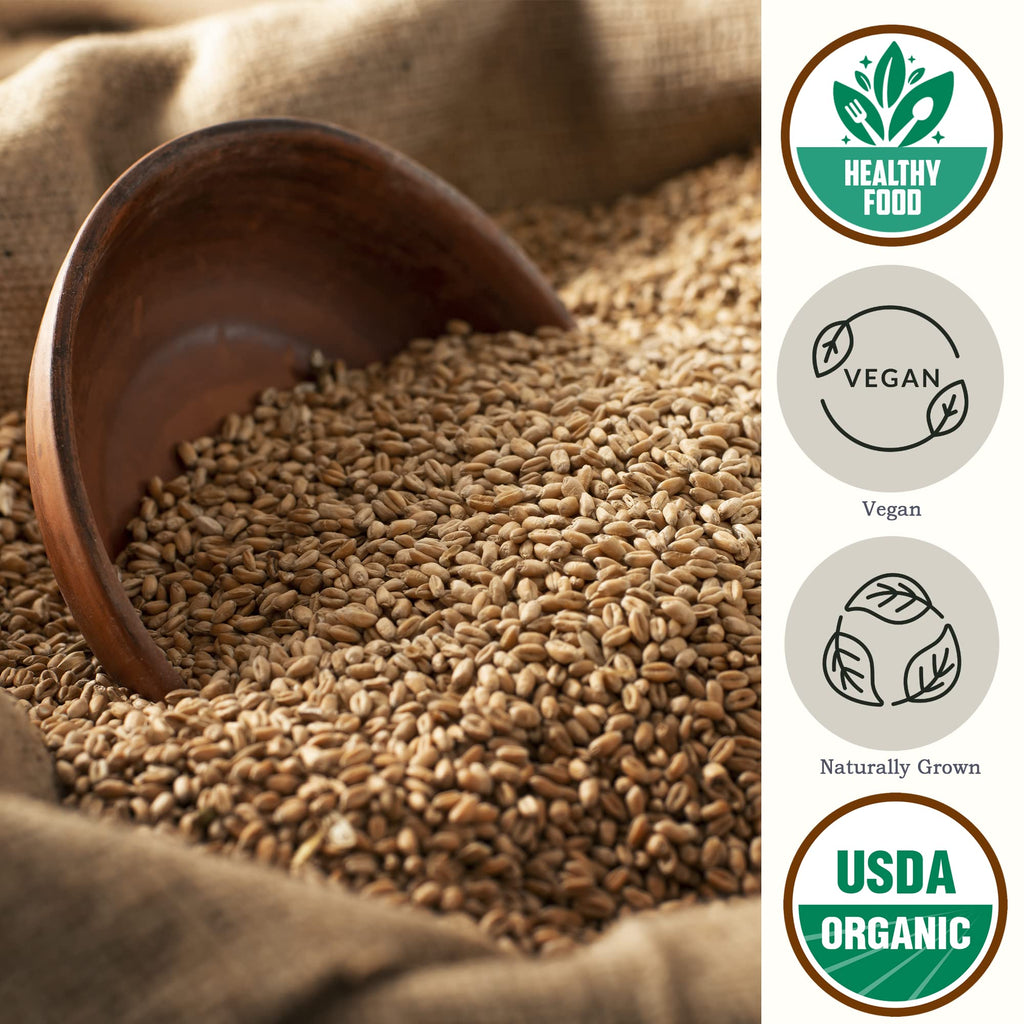 Organic Hard White Wheat Berries 5.8 lb T901