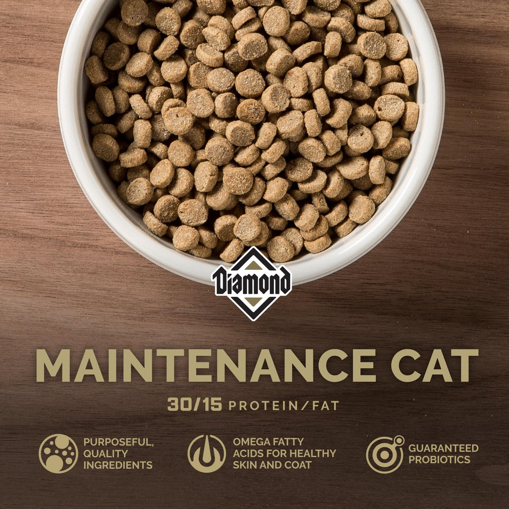 Adult Dry Cat Food Chicken Protein 40lb Z383613