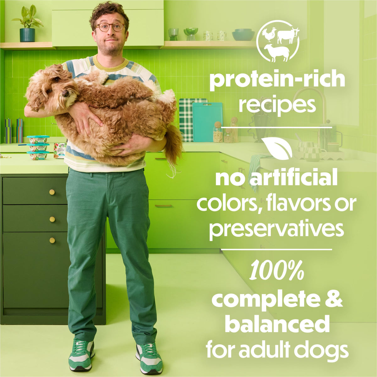 Wet Dog Food 12 10 oz Tub W176969