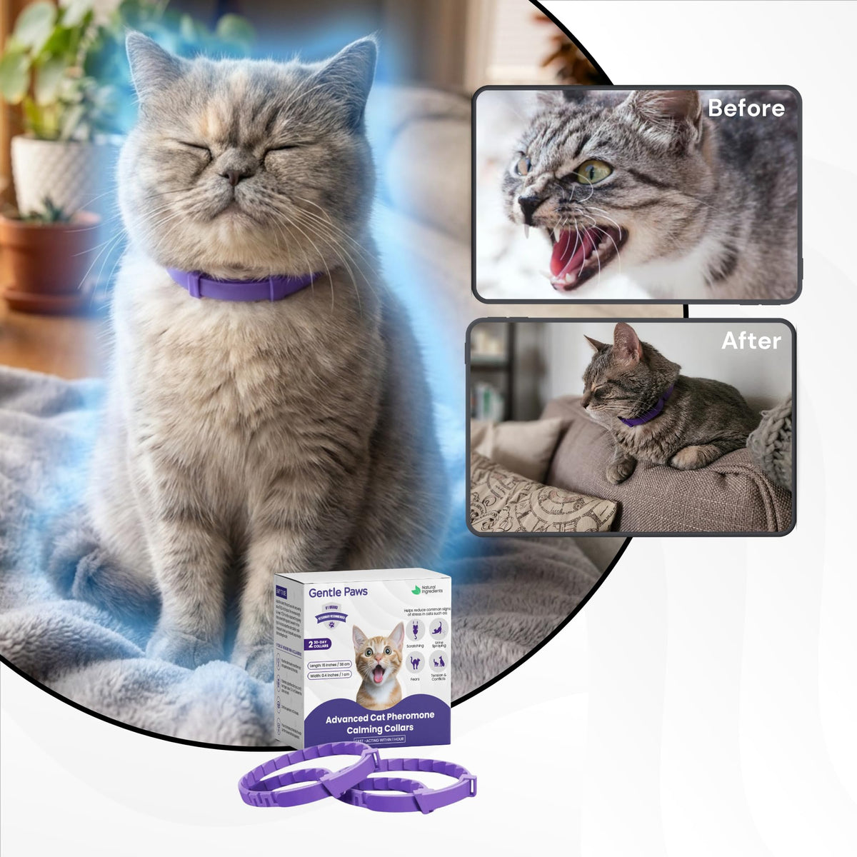 Cat Calming Collar 2-Pack T5968