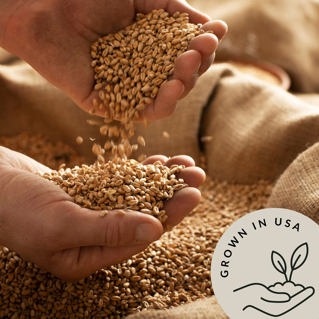 Organic Hard White Wheat Berries 5.8 lb T901