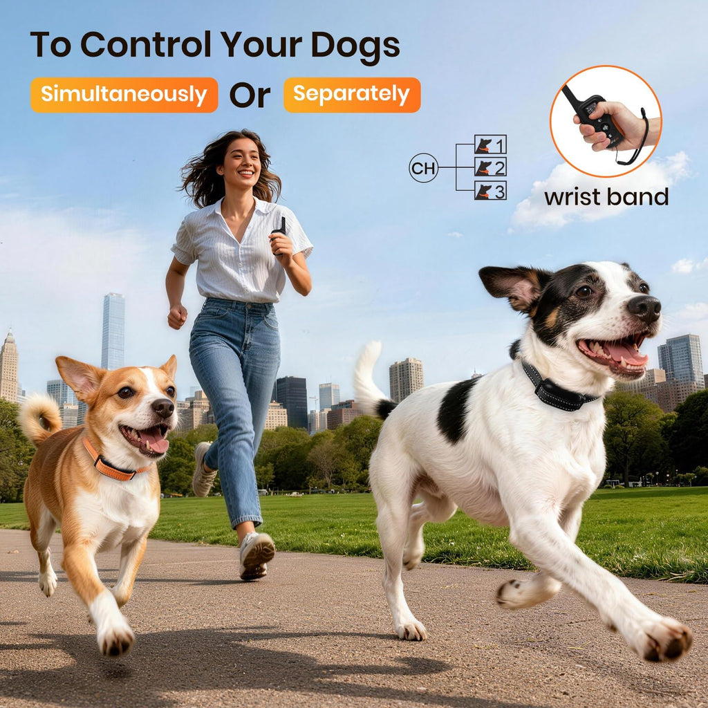 Vibration Collar with Controller for 2 Dogs, 3300ft Waterproof Q16311
