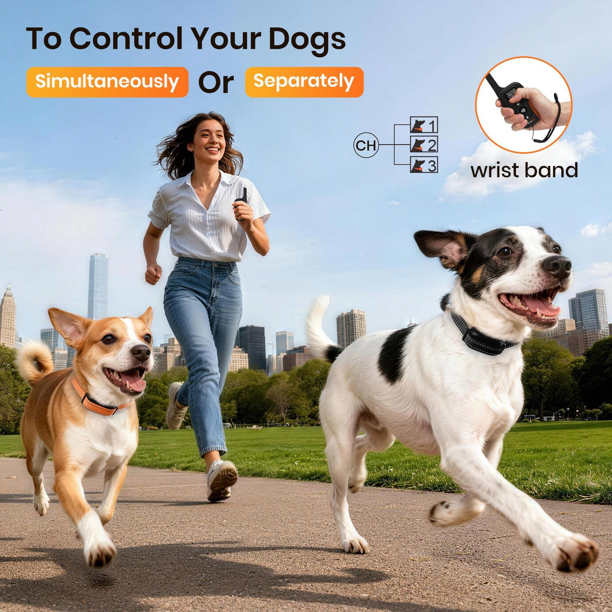 Vibration Collar with Controller for 2 Dogs, 3300ft Waterproof Q16311