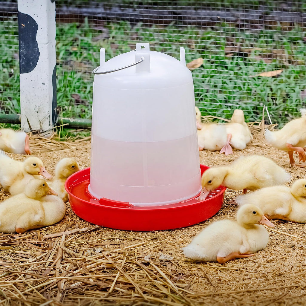 2 Pcs 2 Gallon Plastic Chicken Waterer C786365