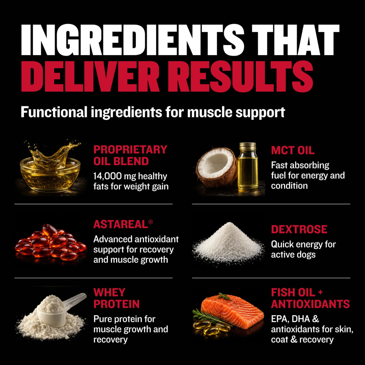 Liquid Dog Muscle Builder Supplement 16 oz R8833