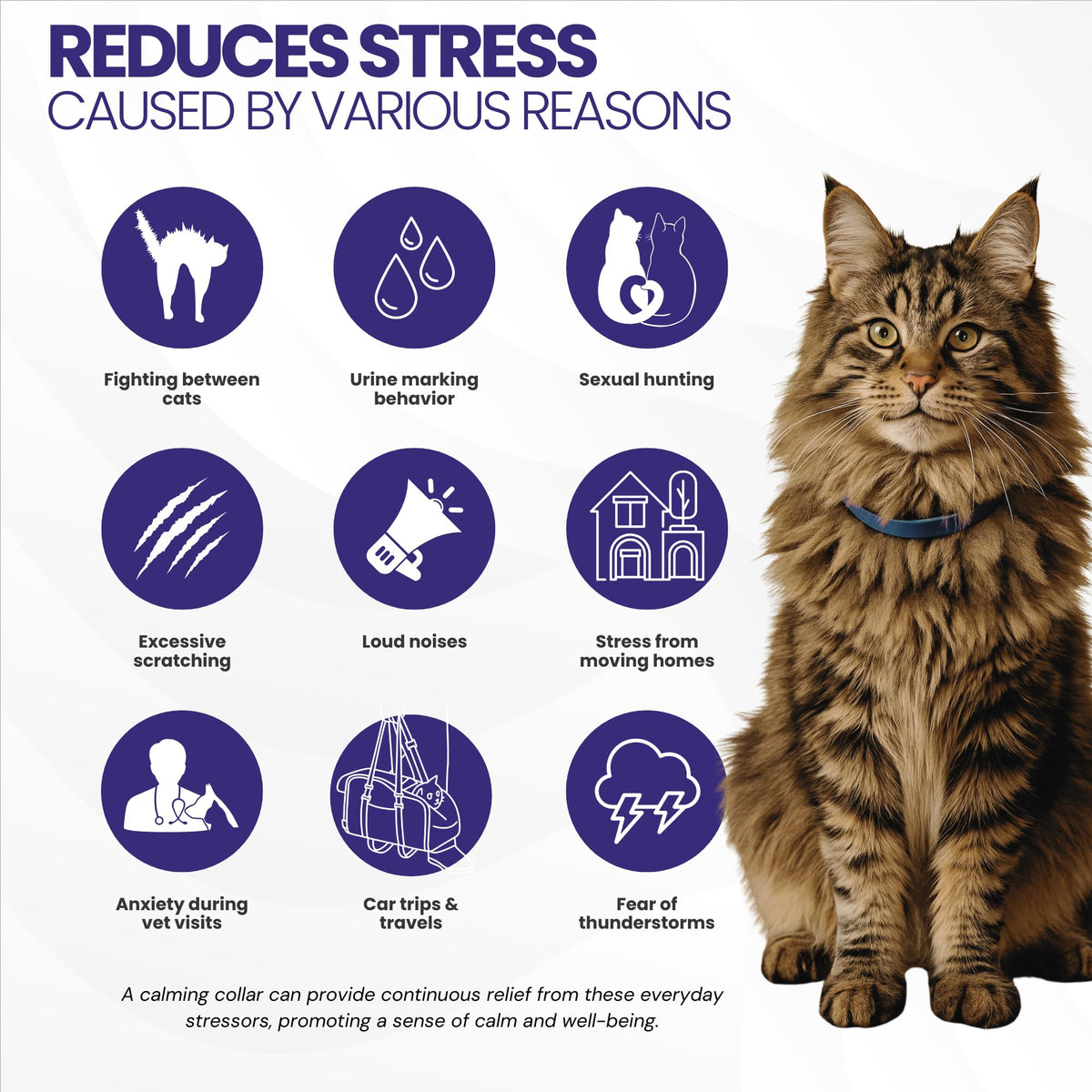 Cat Calming Collar 2-Pack T5968