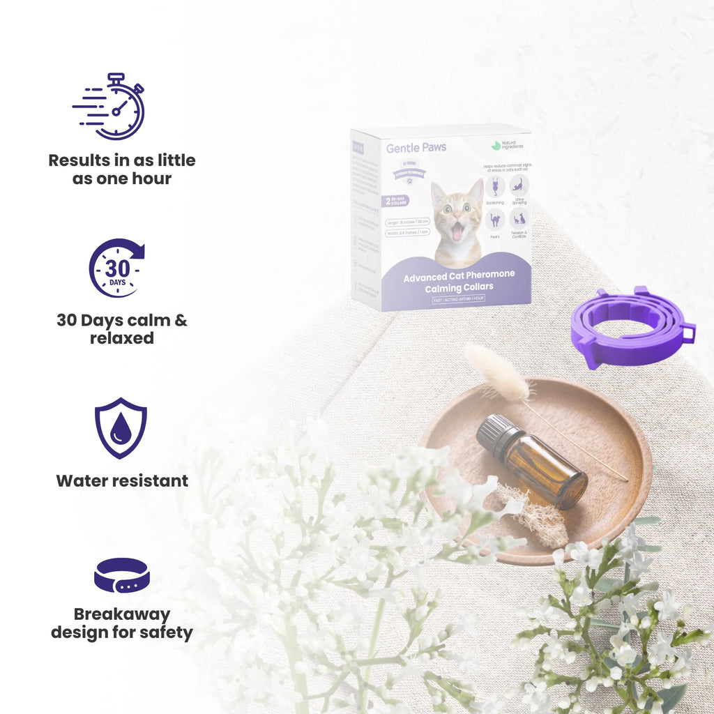 Cat Calming Collar 2-Pack T5968