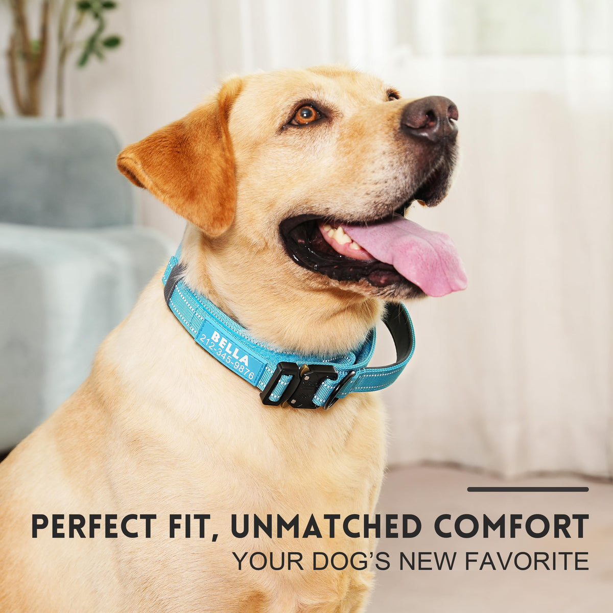 Tactical Dog Collar with Handle S9262
