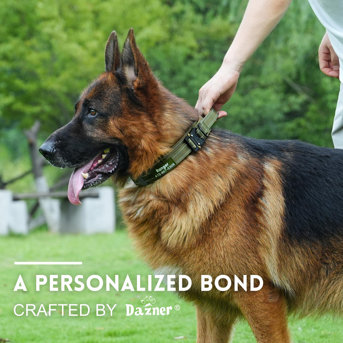 Tactical Dog Collar with Handle S9262