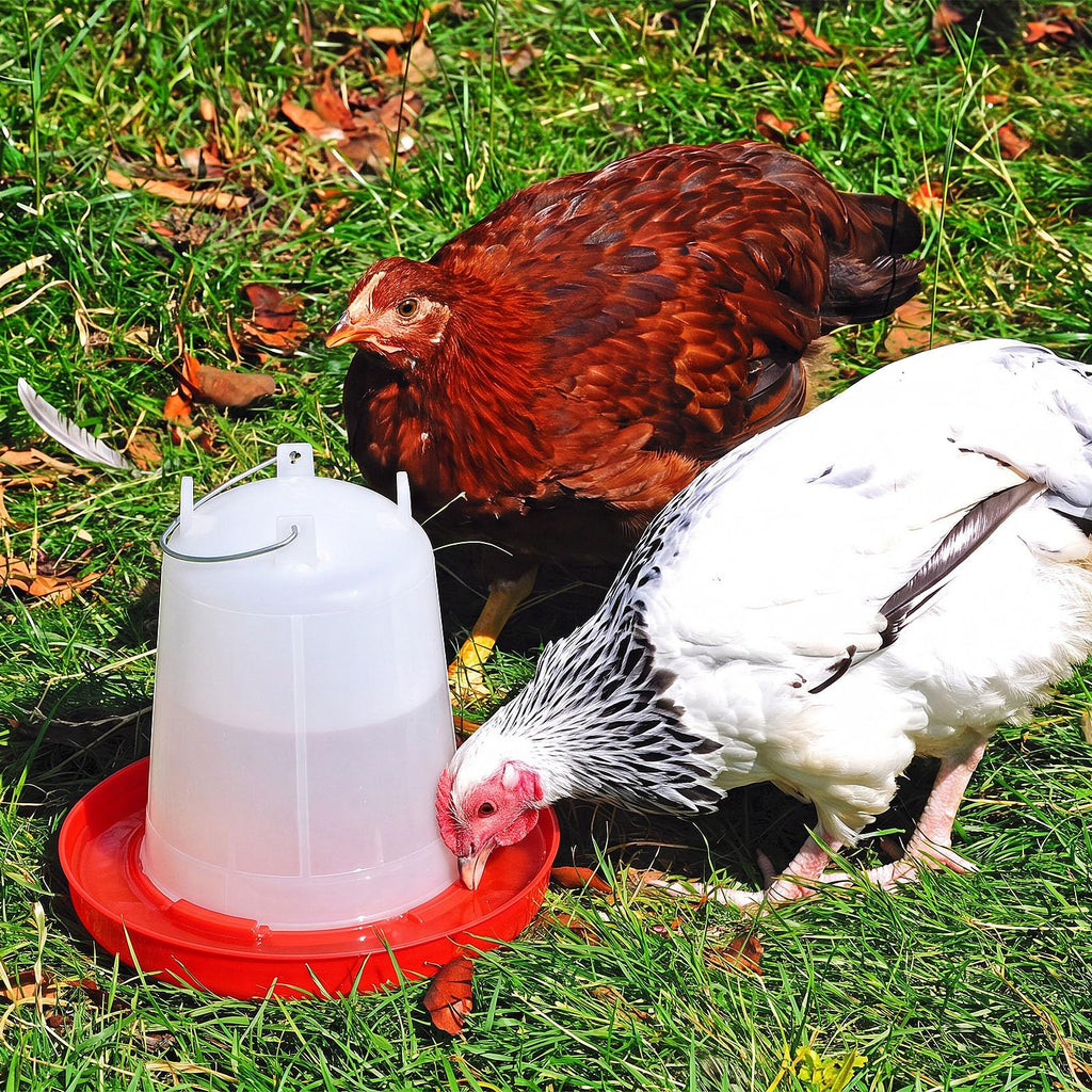2 Pcs 2 Gallon Plastic Chicken Waterer C786365